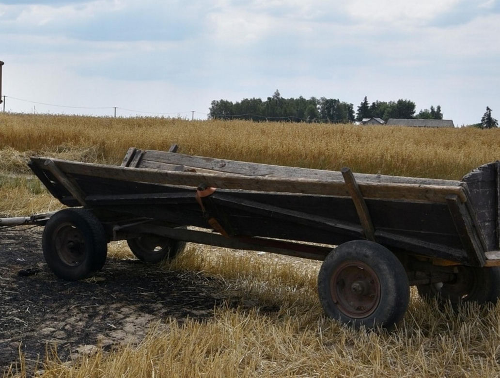 Blondynka zmiażdżyła jądro rolnikowi. Grozi mu amputacja!