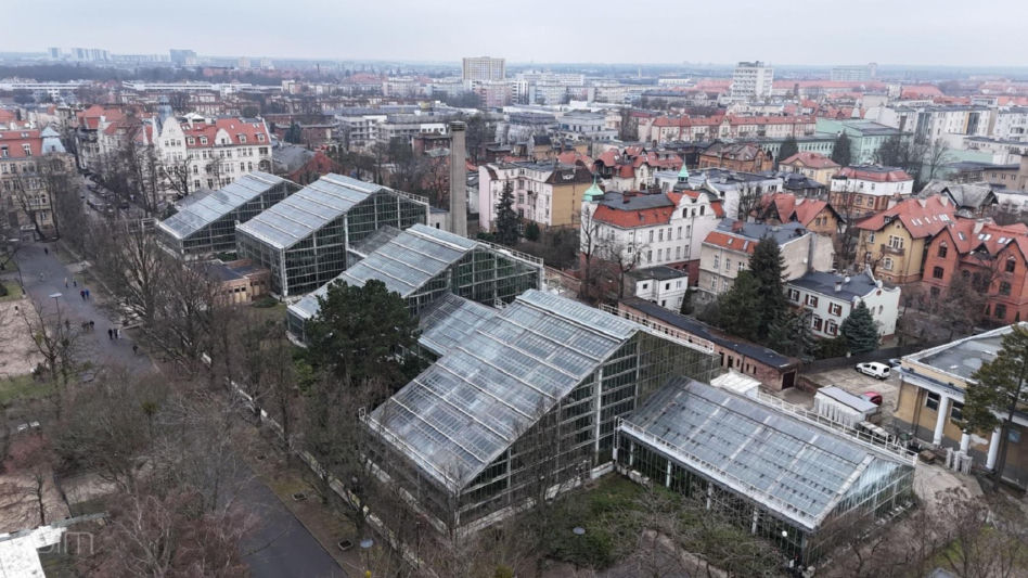 Palmiarnia Poznańska – stan obecny