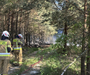 Strażacy walczą z potężnym pożarem na Mazowszu