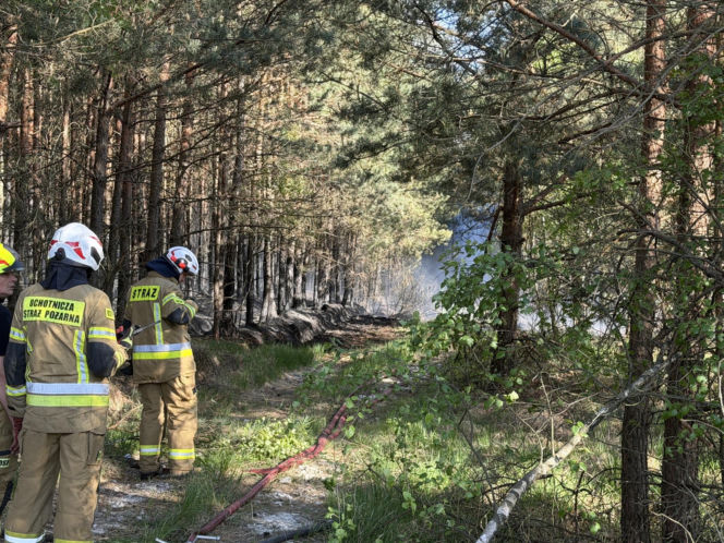 Strażacy walczą z potężnym pożarem na Mazowszu