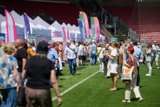 Wielki piknik „Serce Łodzi bije dla Seniorów”