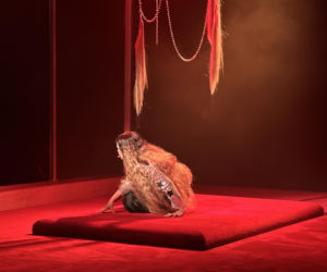 Nie do wiary, jak teraz wygląda Ostałowska. Po odejściu z M jak miłość zrobiła wielką rewolucję