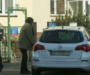 Koty Jarka nas terroryzują