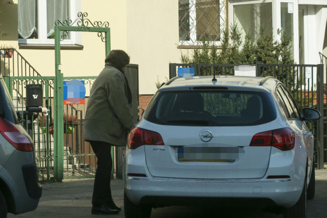 Koty Jarka nas terroryzują