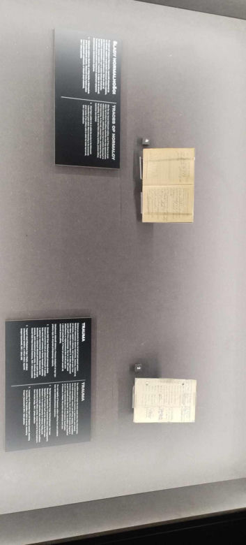 Wystawa Muzeum Gdańska "Nasi chłopcy" 