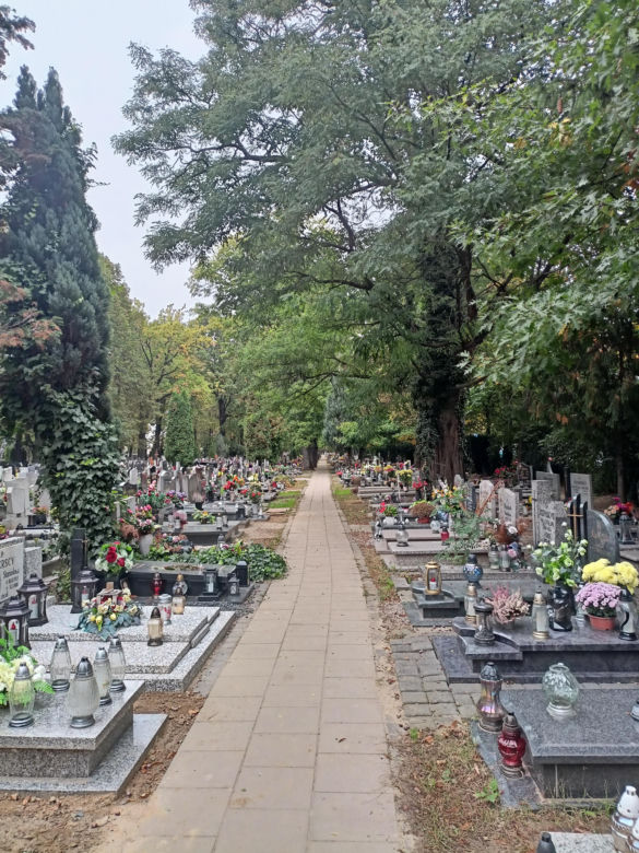 Ceny zniczy i wiązanek. Cmentarz Winiarski - Piątkowo Poznań
