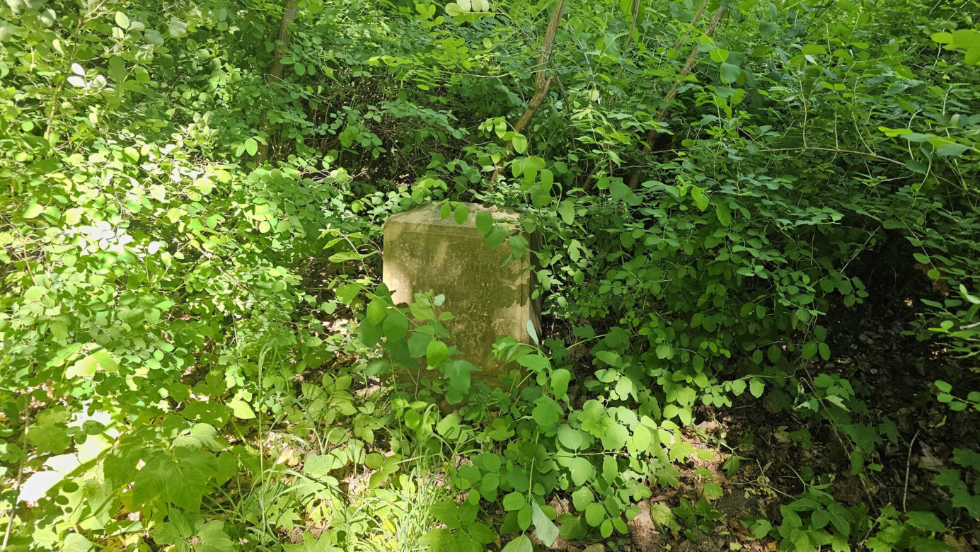 Było, zniknęło i... powróciło. Zobacz magiczne jezioro Track na obrzeżach Olsztyna [ZDJĘCIA]