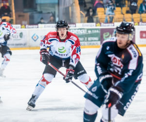 KH Energa Toruń - Lotos PKH Gdańsk, zdjęcia z Tor-Toru