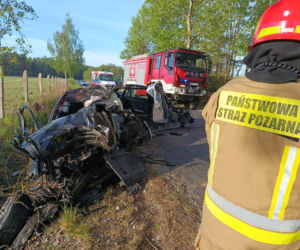 BMW roztrzaskane w drobny mak, kierowca nie żyje. Tragiczny finał spotkania z łosiem