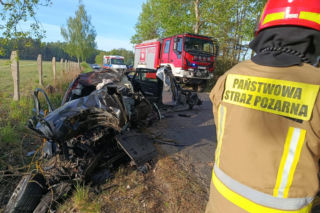 BMW roztrzaskane w drobny mak, kierowca nie żyje. Tragiczny finał spotkania z łosiem