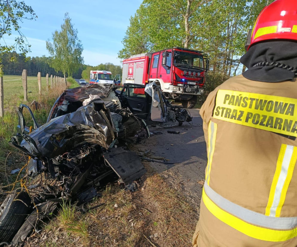 BMW roztrzaskane w drobny mak, kierowca nie żyje. Tragiczny finał spotkania z łosiem