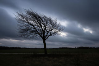 Zimny czwartek w Ostrowcu. Przygotuj się na zaskakujące porywy wiatru!