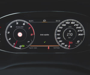 Cupra Ateca 2.0 TSI 300 KM 4Drive DSG7