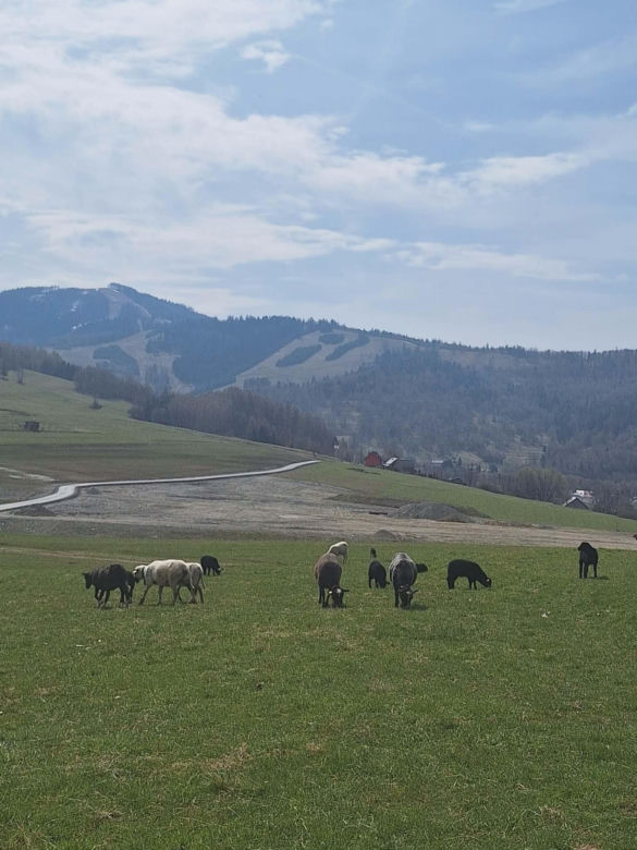Węgierska Górka