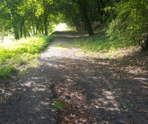 Park Zamkowy i Promenada w Mysłowicach