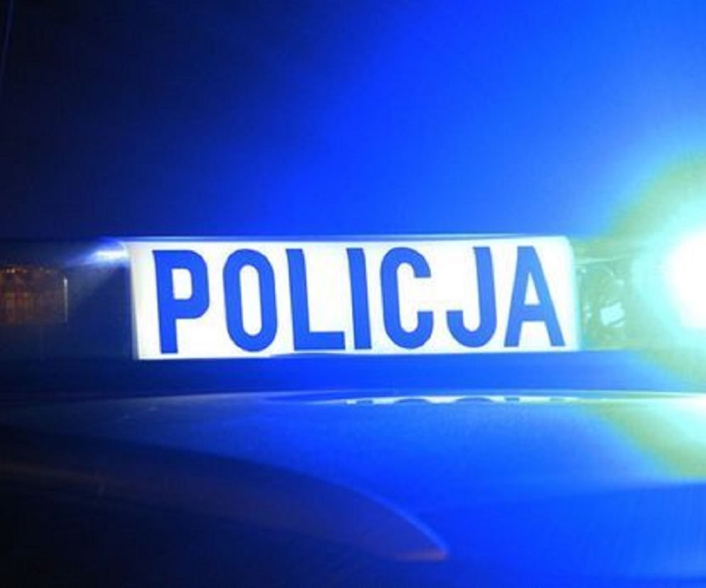 Kujawsko-pomorskie: Pijana 39-latka wypadła z drogi i uderzyła w drzewo! Przerażające odkrycie w bagażniku