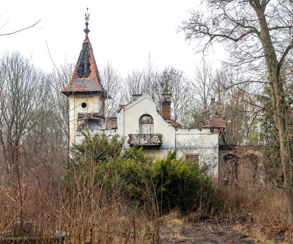 Zrujnowana willa Jezioranka z wieżą pośród gęstych zarośli. O historii tego zabytku przeczytasz na Muratordom.