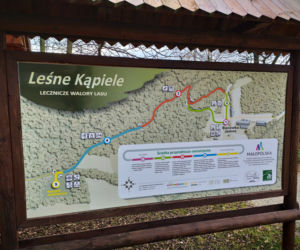 Jesień na Jamnej 