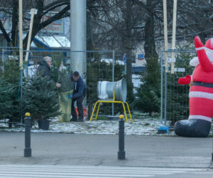 Europoseł PiS Ryszard Czarnecki kupił choinkę w Warszawie