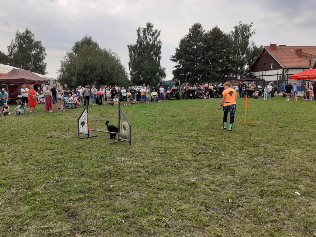 Fotorelacja z IV Urodzin Stowarzyszenia Zwierzoluby z Siedlec - 22.08.2021