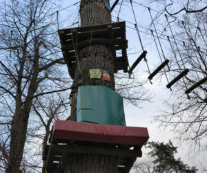 Park Linowy Tarzan w Lesznie