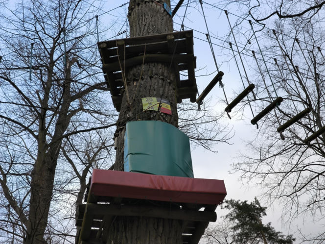 Park Linowy Tarzan w Lesznie