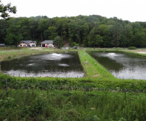 Najlepsze miejsca na majówkę za grosze