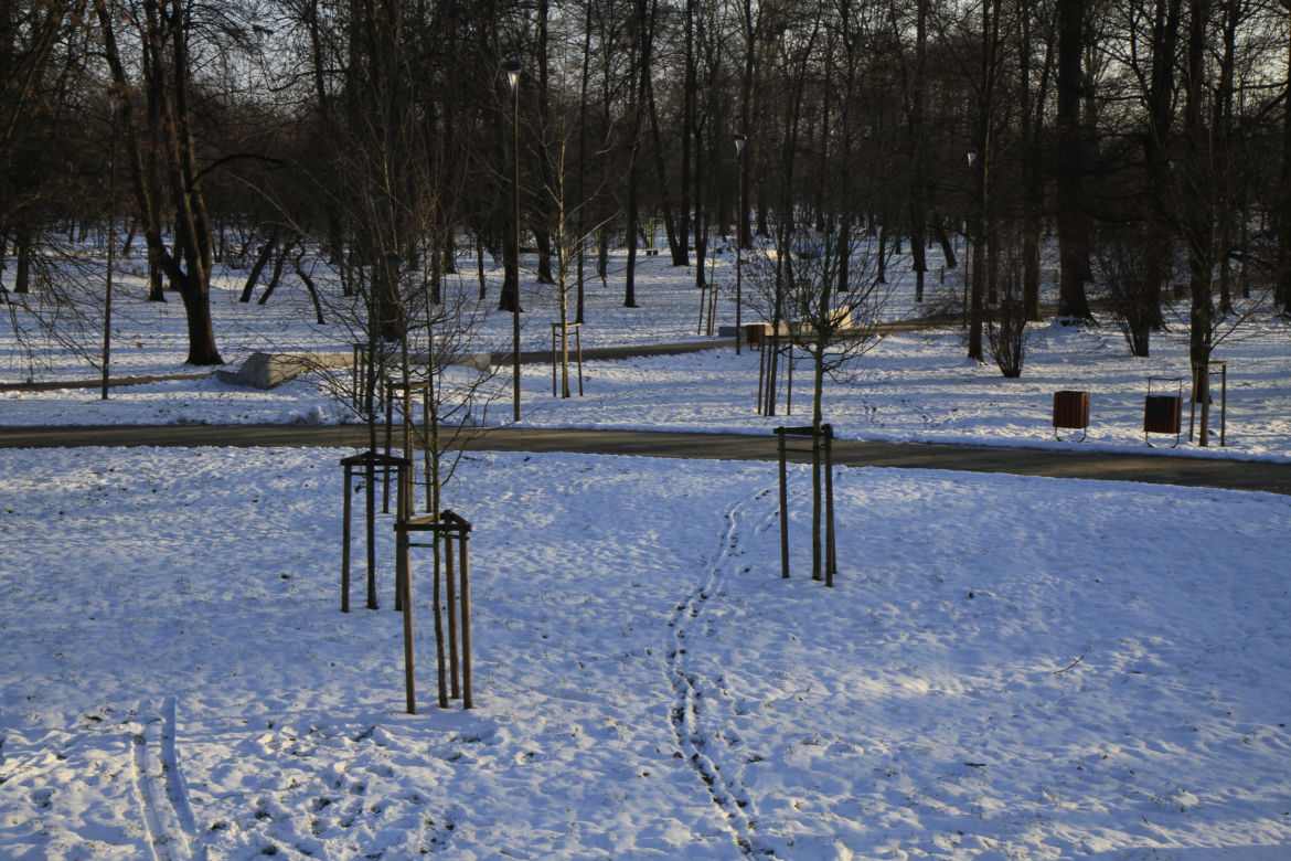Park Ludowy w Lublinie oprószony śniegiem. Zobacz zdjęcia ze spaceru!