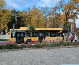 Bezpłatna komunikacja miejska w Łomży dla wszystkich kobiet. Sprawdź kiedy!