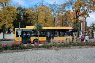 Bezpłatna komunikacja miejska w Łomży dla wszystkich kobiet. Sprawdź kiedy!