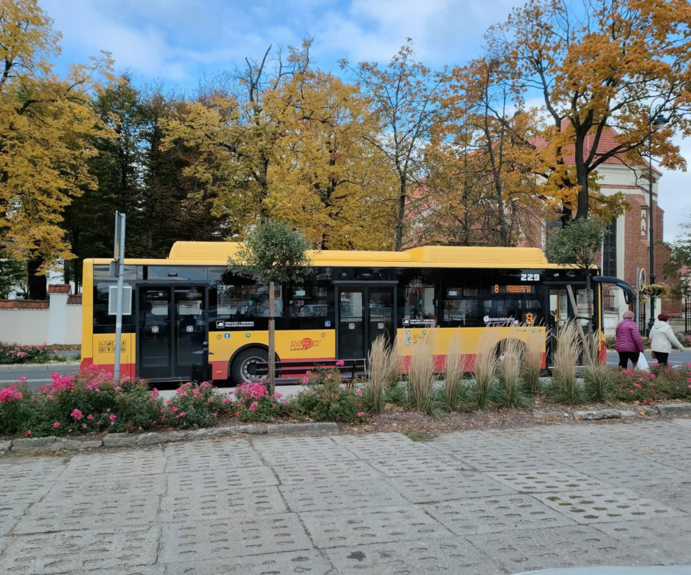 Darmowa komunikaccja miejska w Łomży dla kobiet
