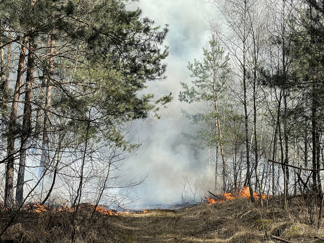  Wielki pożar pod Warszawą. Brakuje sił i środków