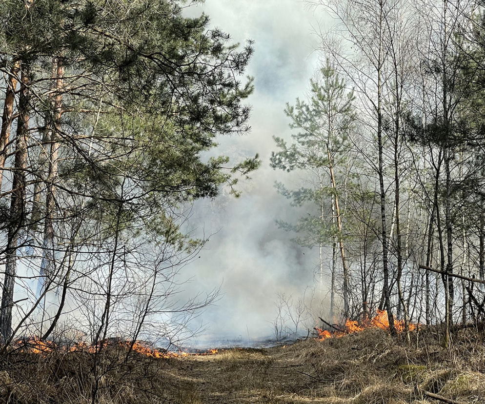 Wielki pożar pod Warszawą. Brakuje sił i środków