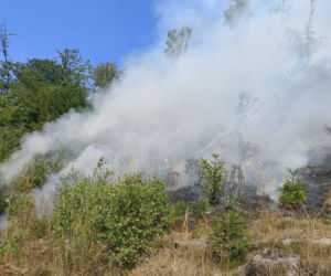 Pożary na Dolnym Śląsku jeden po drugim. Leśnicy pokazali nagranie i apelują!