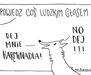 Chorzów: Psie sucharki wsparły bezdomne zwierzaki! [GALERIA]