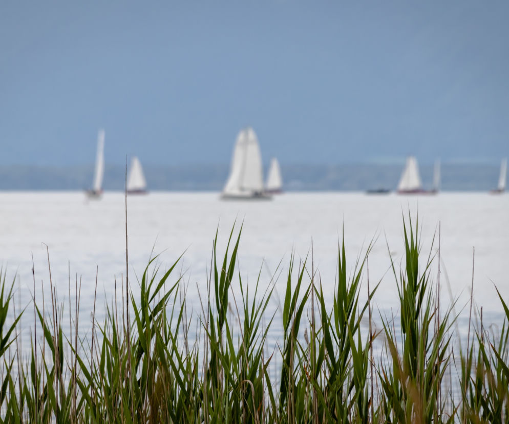 sail