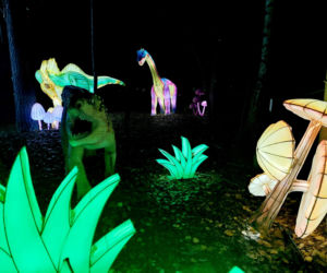 Lumina Park Bydgoszcz