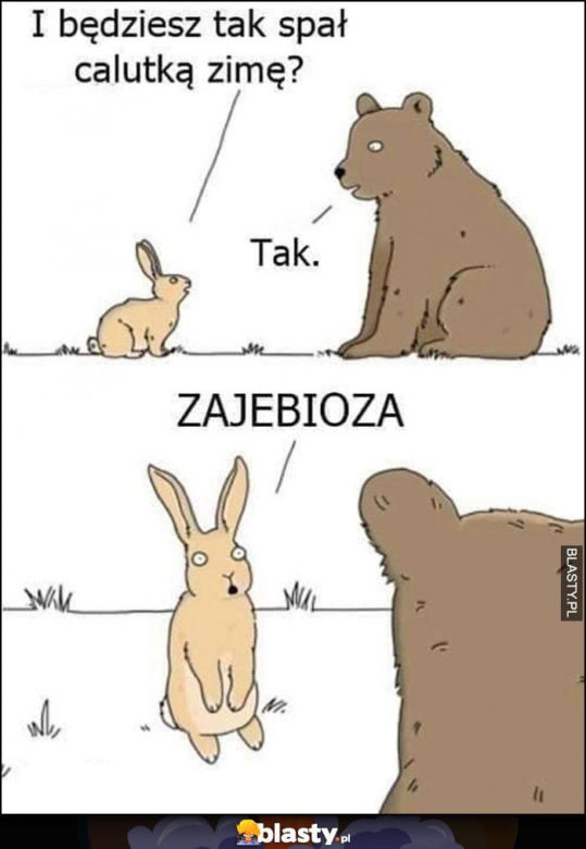 Najśmieszniejsze MEMY o zimie. Te obrazki są takie prawdziwe! 