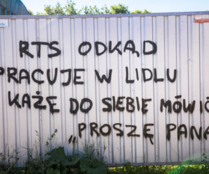 Widzew nosi czapkę z dupki od chleba, a ŁKS je komary... Derby Łodzi na murach