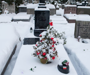Tak wygląda grób ojca Kaczyńskich. Jest inny niż grób matki