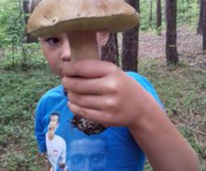Grzybobranie na Podkarpaciu: Zdjęcia Czytelników