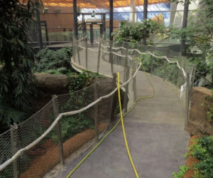 Afrykarium we Wrocławiu trasa zwiedzania