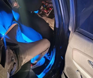 Niecodzienna interwencja celników w Przecławiu