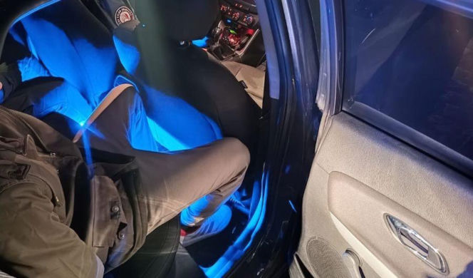 Niecodzienna interwencja celników w Przecławiu