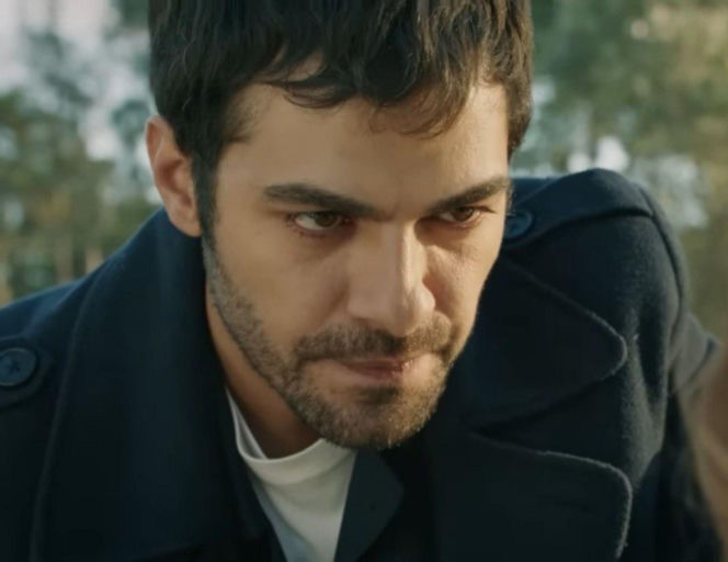 Wichrowe wzgórze odc. 355