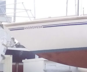 Tak nazywają się jachty i łodzie w gdyńskiej marinie