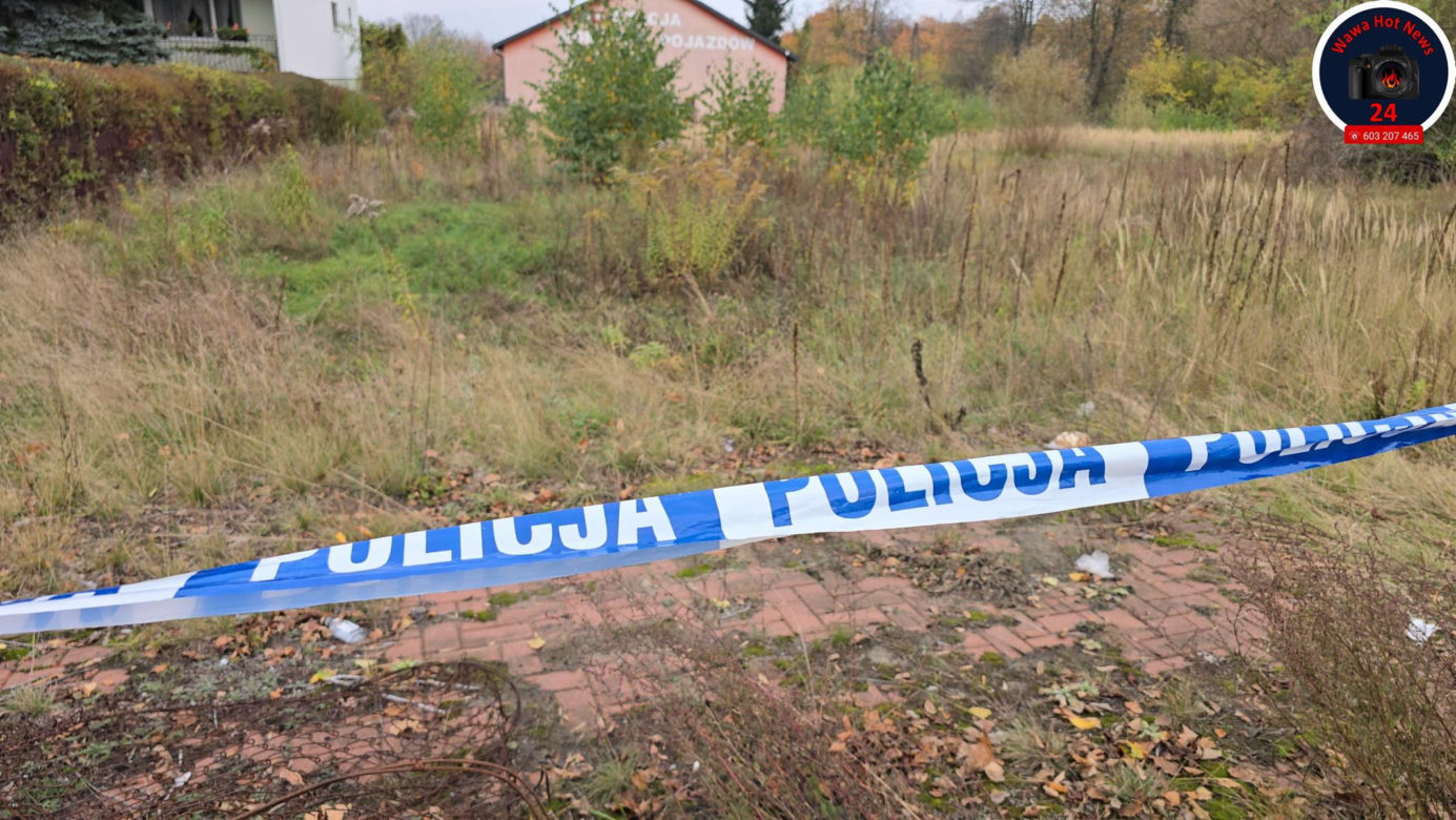 Zabójstwo w Kampinosie