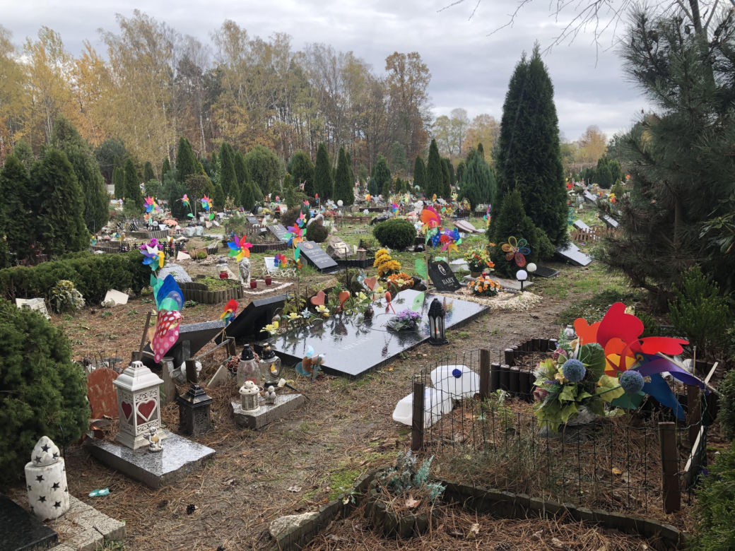 Cmentarze dla zwierząt w Koniku Nowym. "Wszyscy, których znam mówią, że zwierzęta zasługują na dużo więcej miłości i dobroci, ponieważ są lepsi od ludzi widać to teraz"