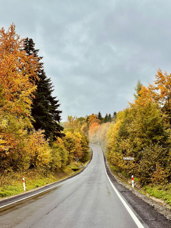 Mimo deszczu turyści odwiedzają Bieszczady