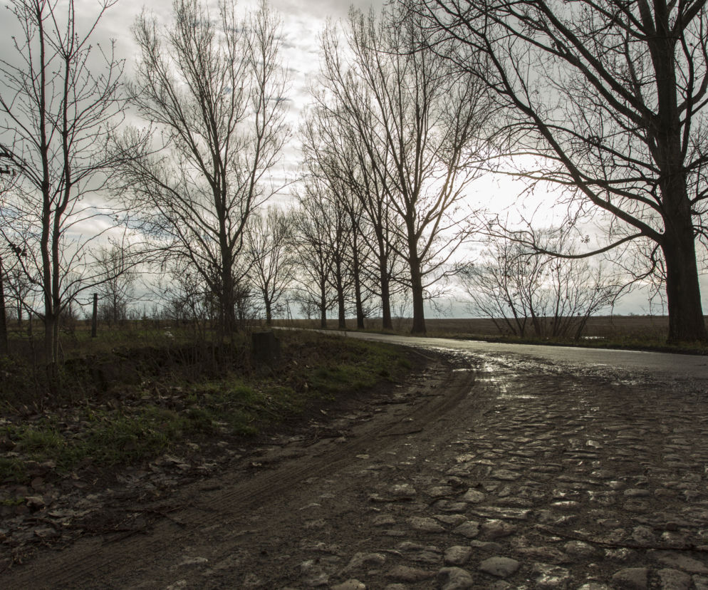 NAZI-ZOMBIE STRASZĄ MIESZKAŃCÓW.